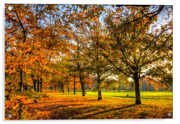 Autumn Trees Acrylic by David Pyatt