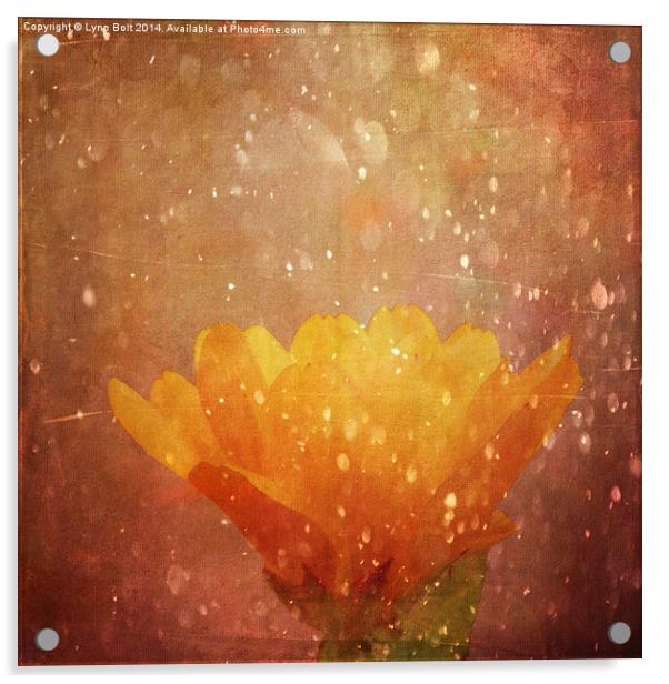  Orange Sparkle Acrylic by Lynn Bolt