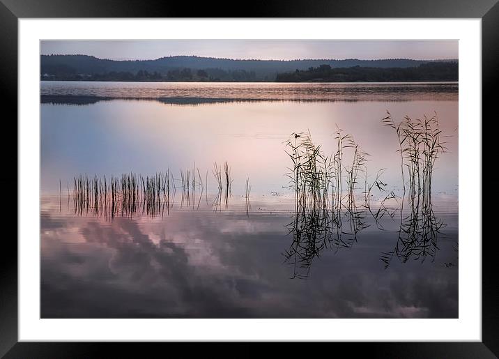  Morning Nocturne  Framed Mounted Print by Jenny Rainbow