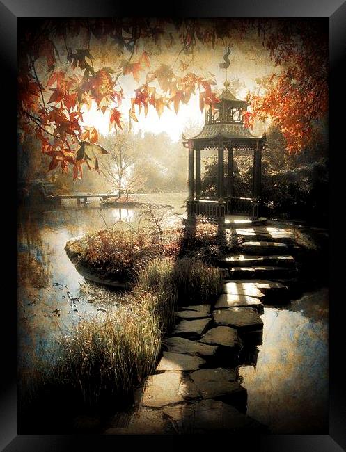  Pathway to peace Framed Print by Chris Manfield