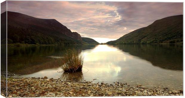  By the still waters Canvas Print by Chris Manfield