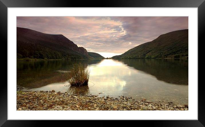  By the still waters Framed Mounted Print by Chris Manfield