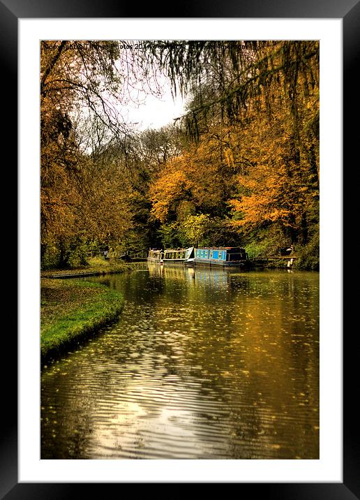  Golden canal Framed Mounted Print by Thanet Photos
