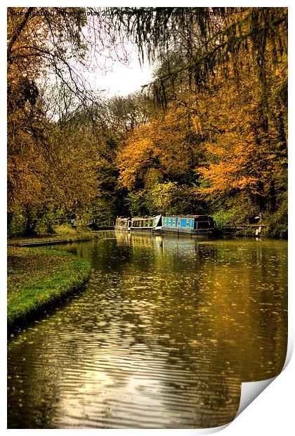  Golden canal Print by Thanet Photos