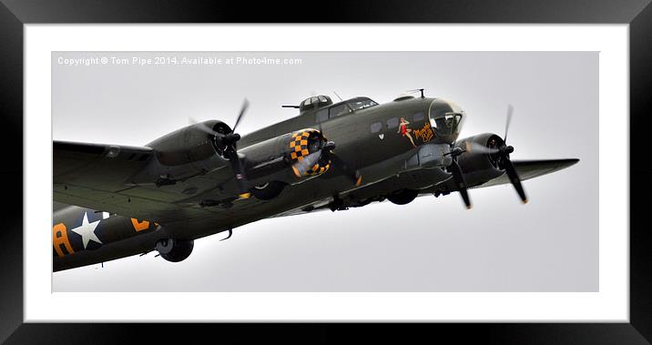  B-17 Sally B. " The Flying Fortress " Framed Mounted Print by Tom Pipe