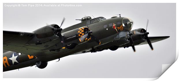  B-17 Sally B. " The Flying Fortress " Print by Tom Pipe