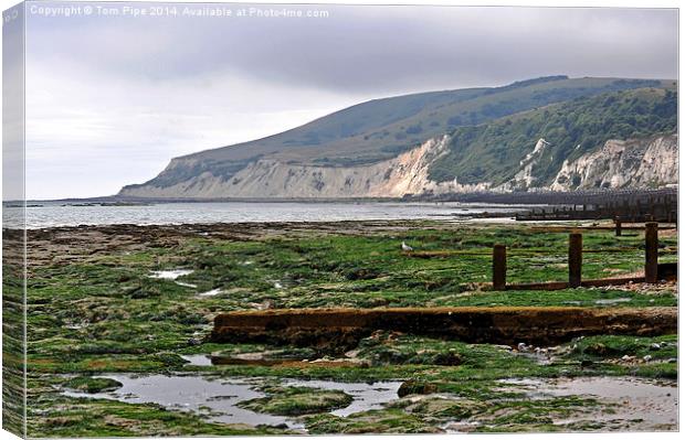 Sea weed & Beachy Head in the distance. Canvas Print by Tom Pipe