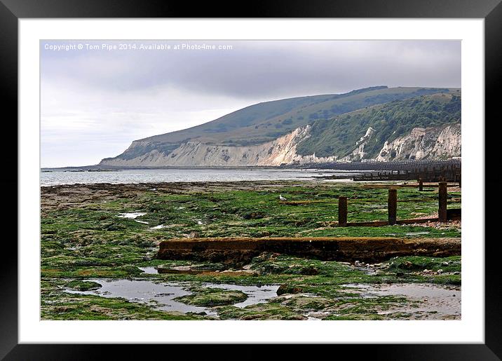 Sea weed & Beachy Head in the distance. Framed Mounted Print by Tom Pipe