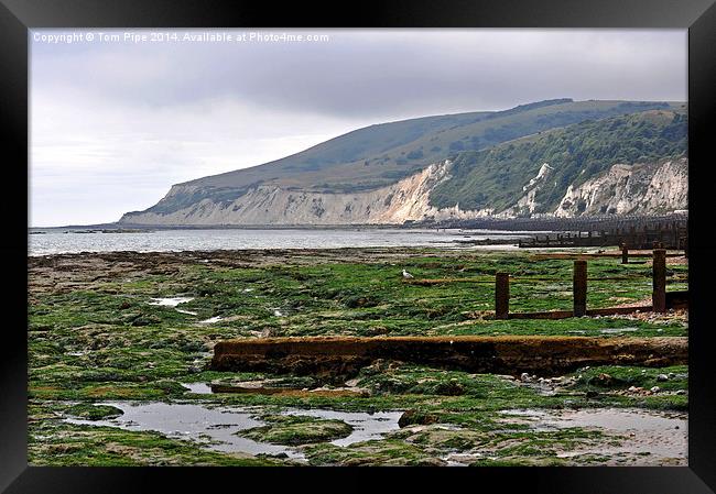 Sea weed & Beachy Head in the distance. Framed Print by Tom Pipe