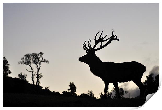 elk stag silhouette Print by Peter Righteous