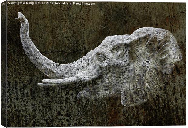  elephant Canvas Print by Doug McRae