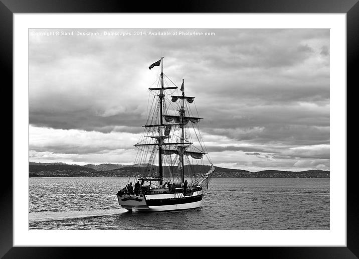  The Lady Nelson Tall Ship Framed Mounted Print by Sandi-Cockayne ADPS