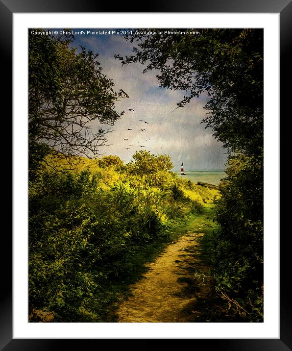  On The Path To The Sea Framed Mounted Print by Chris Lord