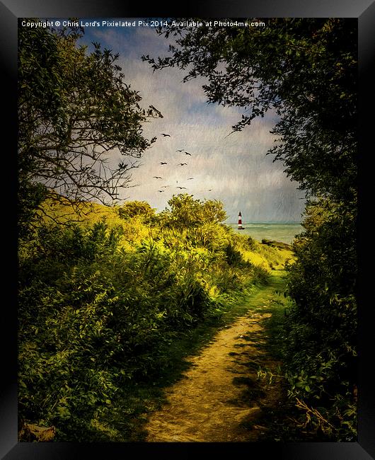  On The Path To The Sea Framed Print by Chris Lord