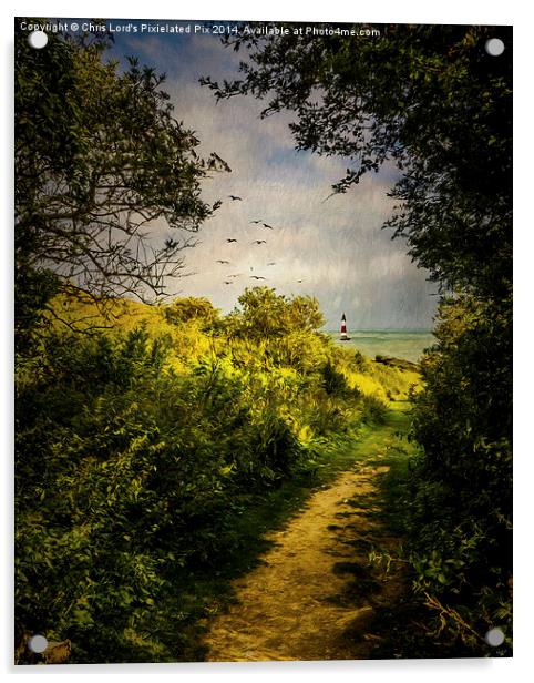  On The Path To The Sea Acrylic by Chris Lord