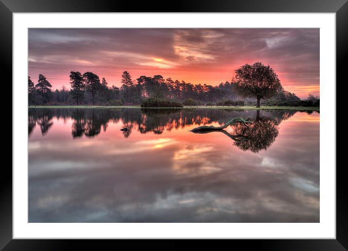  Misty Morning Sunrise at the Pond Framed Mounted Print by Jennie Franklin