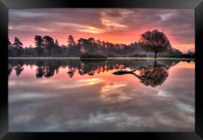  Misty Morning Sunrise at the Pond Framed Print by Jennie Franklin