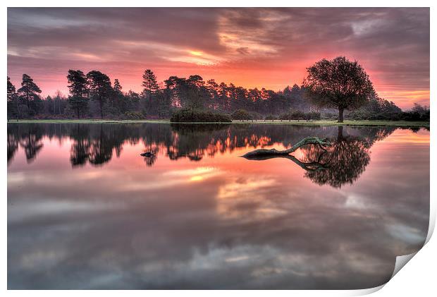  Misty Morning Sunrise at the Pond Print by Jennie Franklin