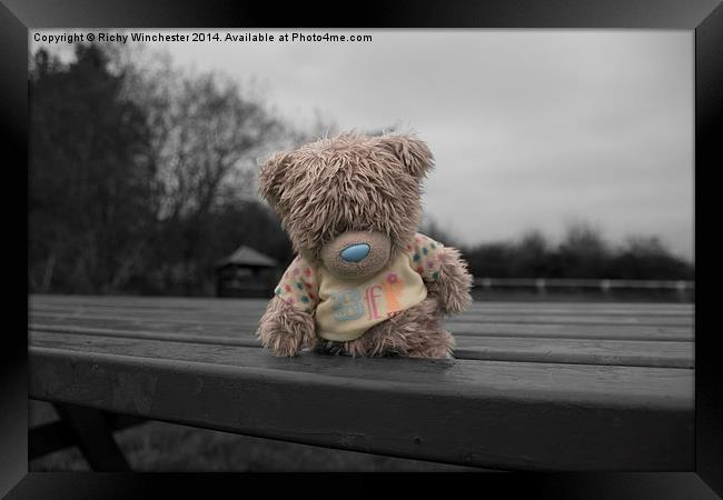 Abandoned best friend toy bear Framed Print by Richy Winchester