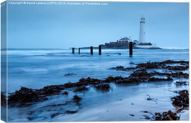St Marys Lighthouse Canvas Print by David Lewins (LRPS)