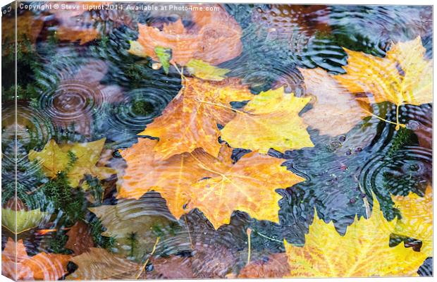  Autumn Canvas Print by Steve Liptrot