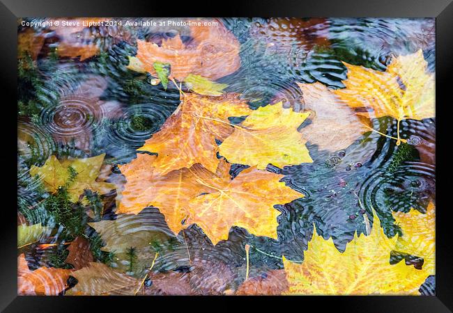  Autumn Framed Print by Steve Liptrot