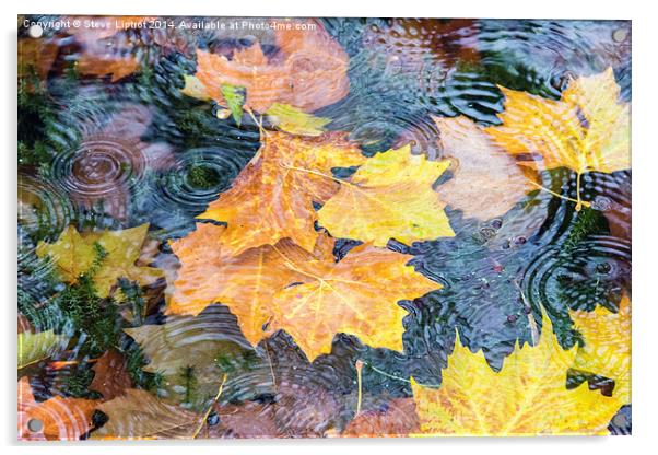  Autumn Acrylic by Steve Liptrot