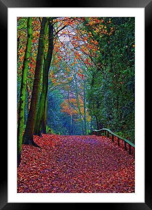  Yesterdays Walk………….. Framed Mounted Print by Ros Ambrose