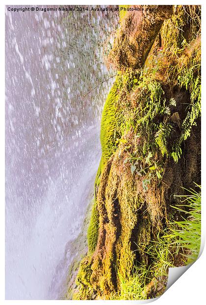 Under waterfall Print by Dragomir Nikolov