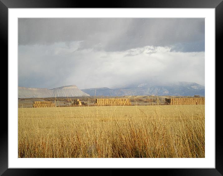 Mountains and September field storm Framed Mounted Print by Patti Barrett