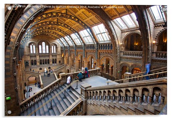  Natural History Museum Acrylic by Graham Custance