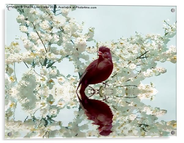  Spring call Acrylic by Sharon Lisa Clarke