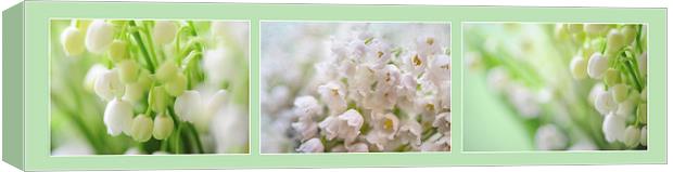  Lilies of the Valley. Triptych  Canvas Print by Jenny Rainbow