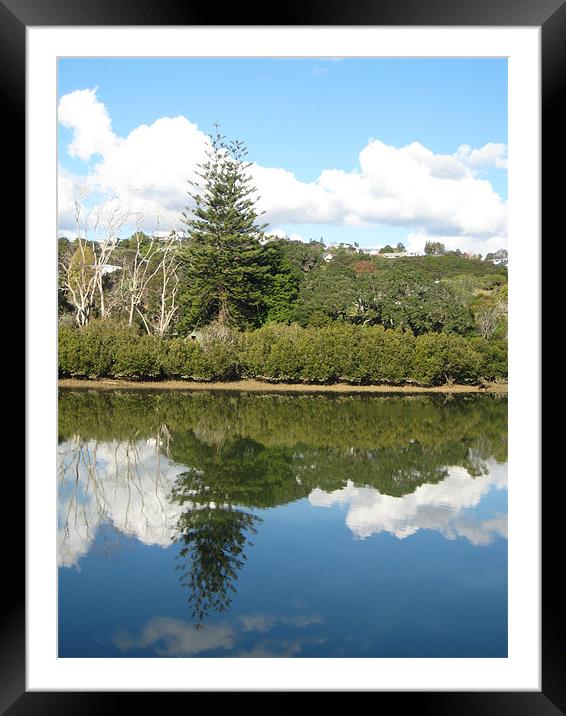 Bay Of Islands (New Zealand) Framed Mounted Print by Lisa Tayler