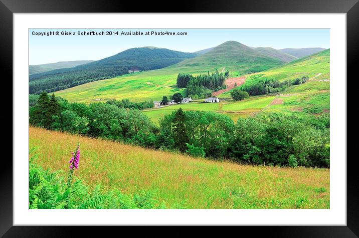  Scenery in the Moffat Water Valley Framed Mounted Print by Gisela Scheffbuch