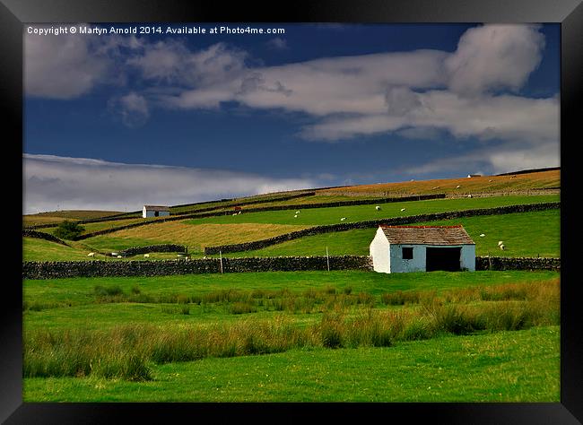  Stone Barns and Walls in Teesdale on Pennine Way Framed Print by Martyn Arnold
