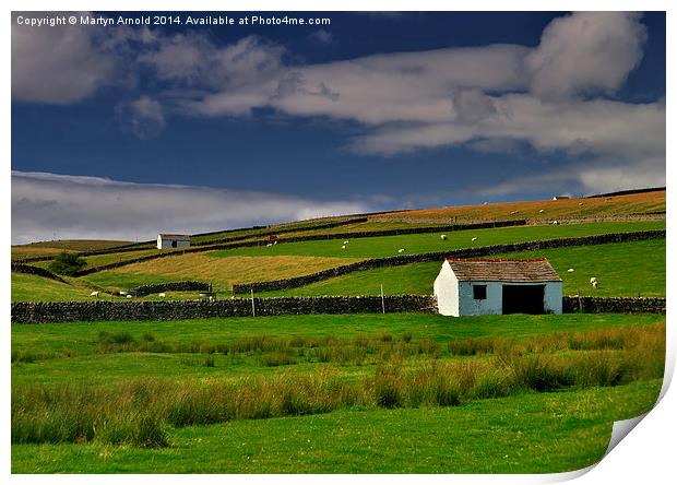  Stone Barns and Walls in Teesdale on Pennine Way Print by Martyn Arnold