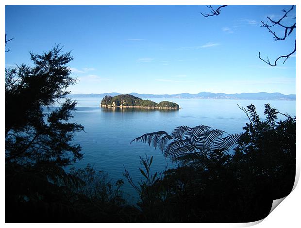 Abel Tasman National Park Print by Lisa Tayler