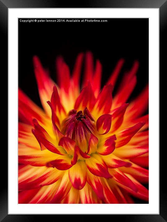  On Fire Framed Mounted Print by Peter Lennon