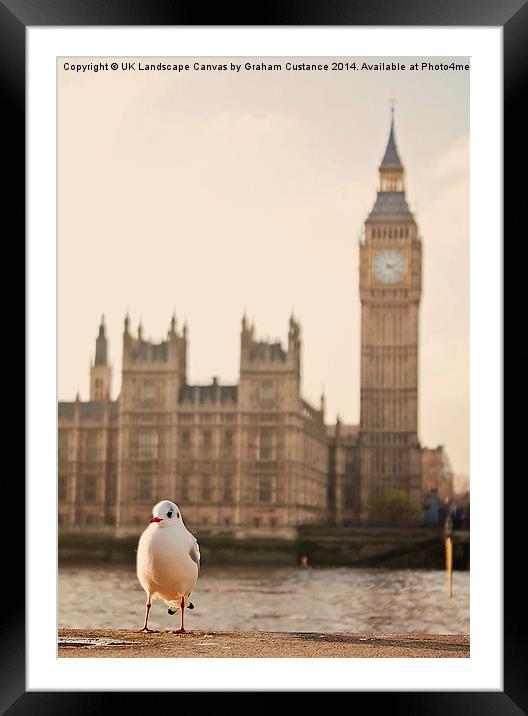  Big Ben Bird Framed Mounted Print by Graham Custance