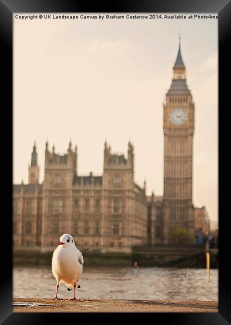  Big Ben Bird Framed Print by Graham Custance