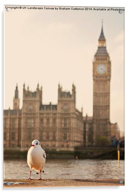  Big Ben Bird Acrylic by Graham Custance