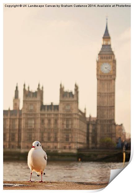  Big Ben Bird Print by Graham Custance