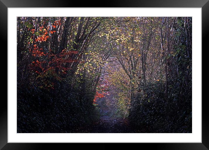  Autumns Arch Framed Mounted Print by Chris Griffin