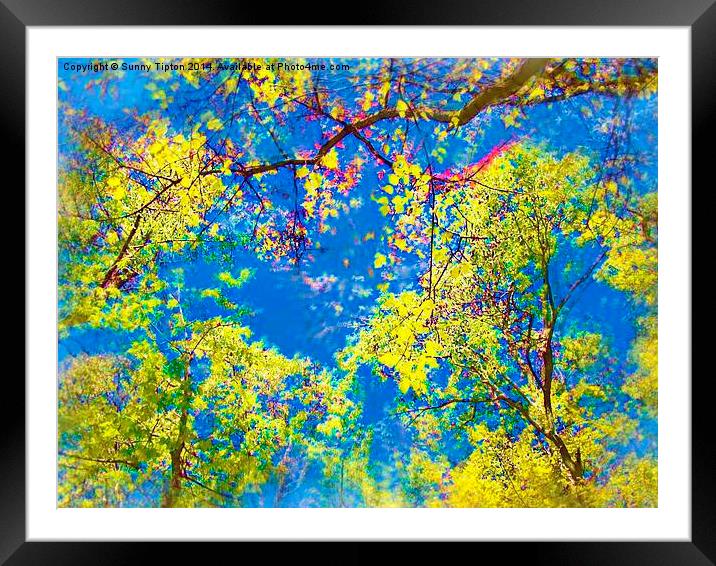  Spring Is Here!  Framed Mounted Print by Sunny Tipton