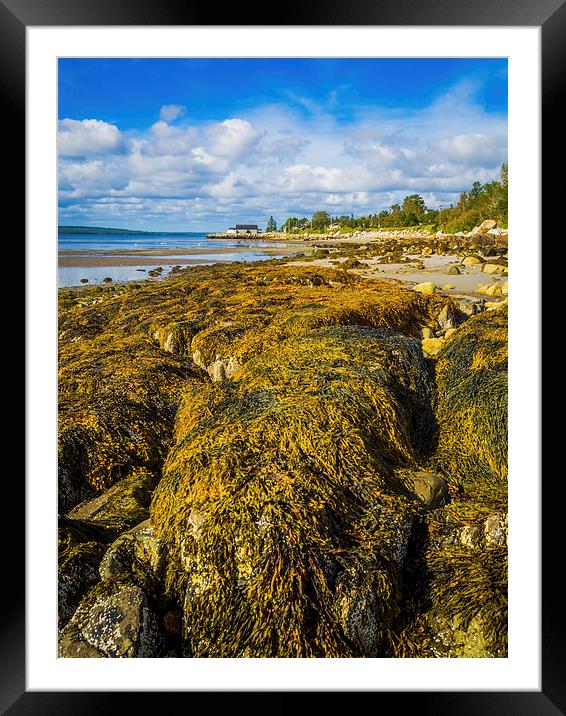 Seaweed on the Beach, Liverpool, Nova Scotia, Cana Framed Mounted Print by Mark Llewellyn