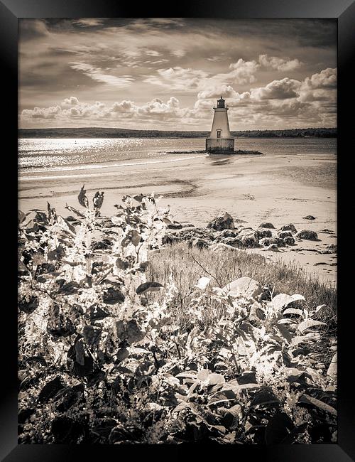 Sandy Point Lighthouse, Shelburne, Nova Scotia, Ca Framed Print by Mark Llewellyn
