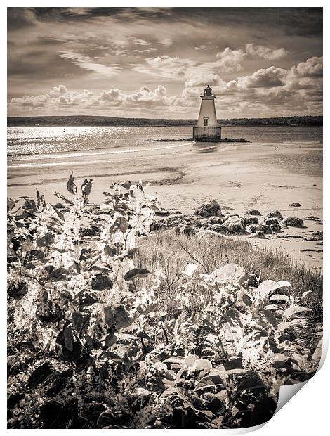 Sandy Point Lighthouse, Shelburne, Nova Scotia, Ca Print by Mark Llewellyn