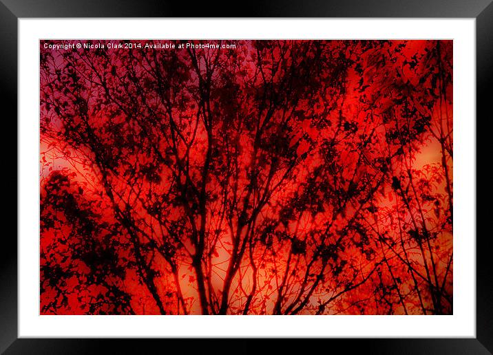 Winter Trees Framed Mounted Print by Nicola Clark