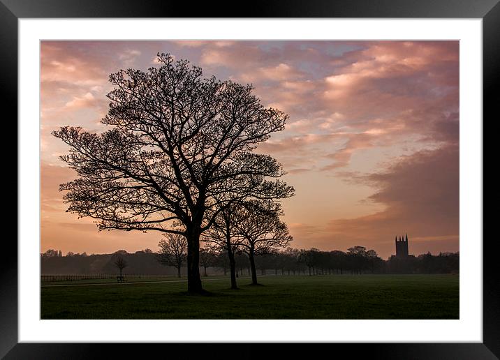  croxteth park Framed Mounted Print by Mark Clair